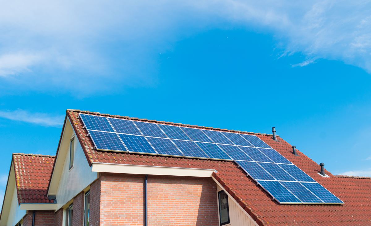 Solar panel cleaning