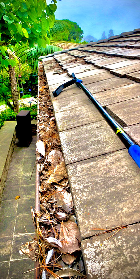 Gutter Cleaning in La Jolla CA