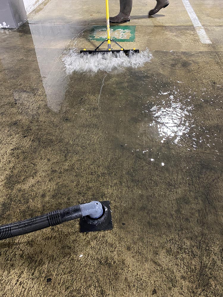 Parking garage cleaning la jolla ca