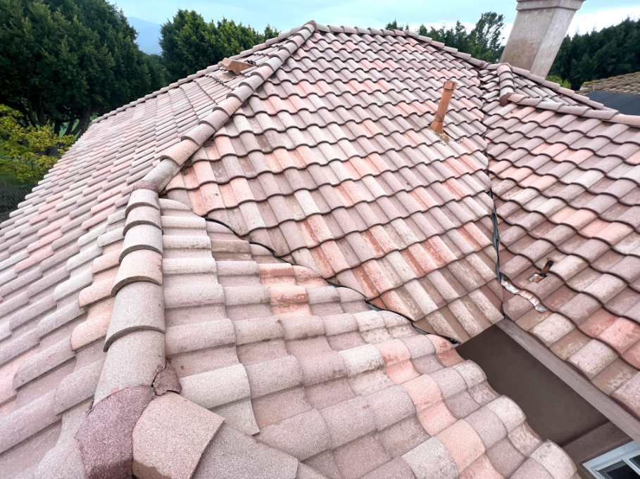 Tile roof cleaning