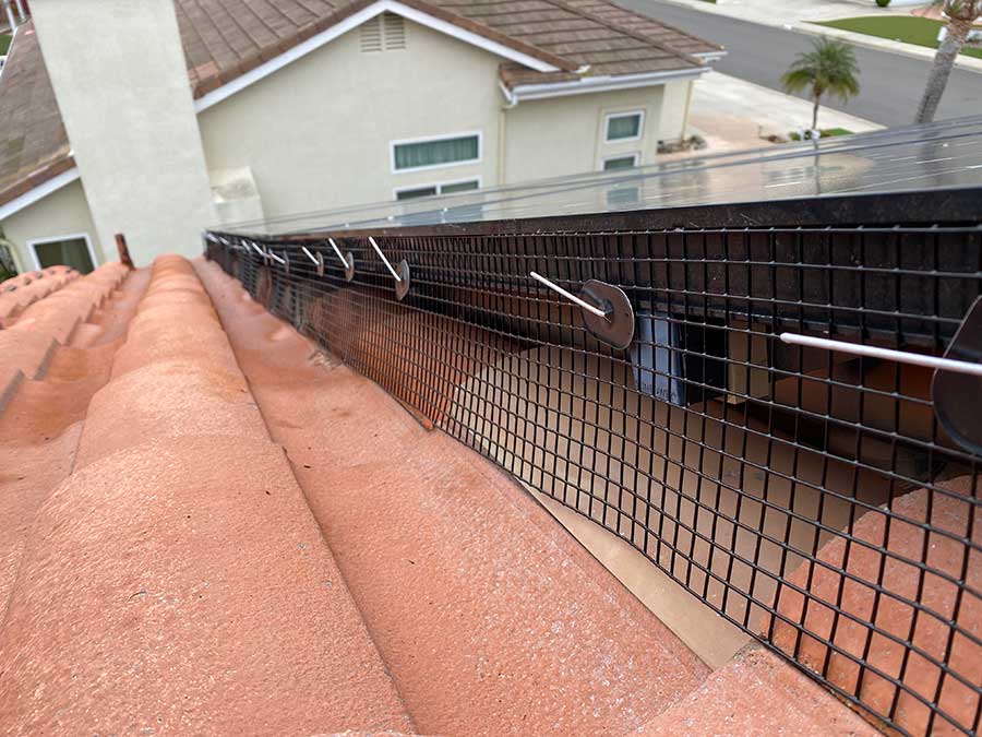 Bird proofing san diego