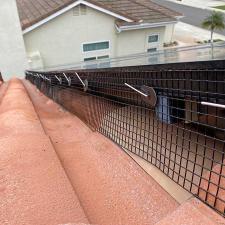 Bird proofing san diego