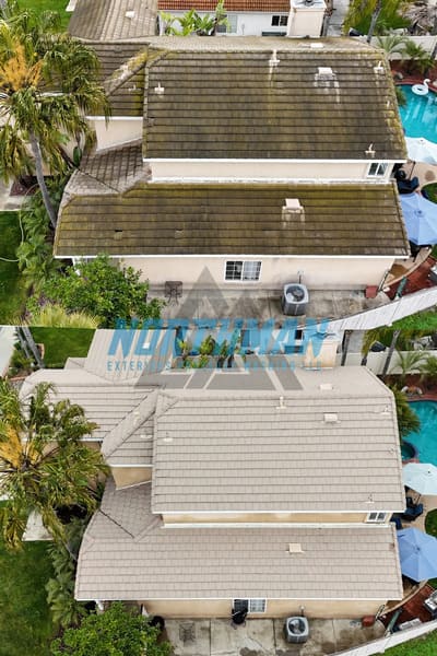 Why soft washing is safer for your roof than pressure washing