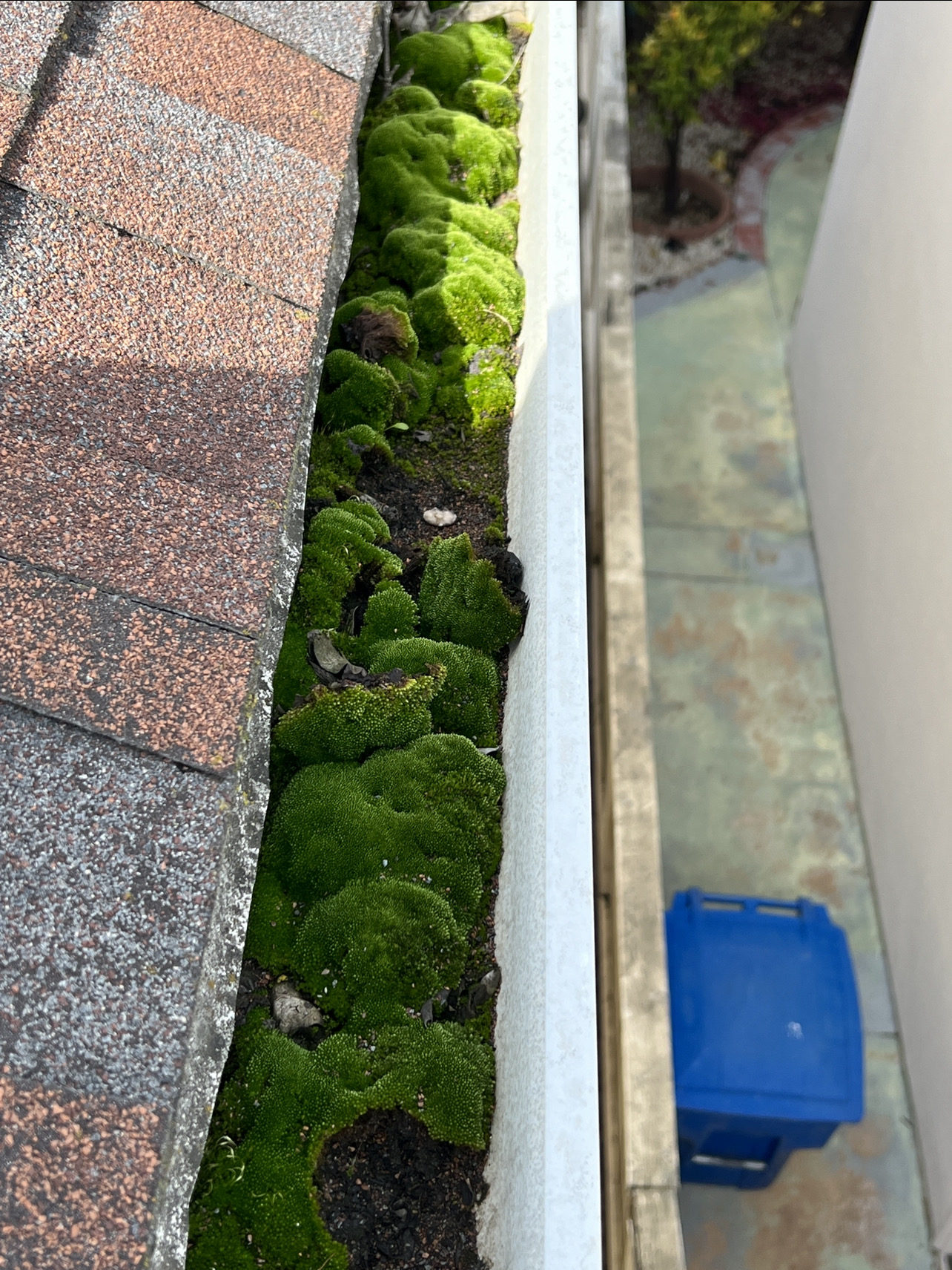 Expert HOA Rain Gutter Cleaning Service in Mira Mesa, CA!